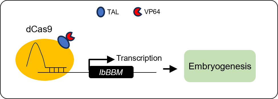 1747466117065063237.png